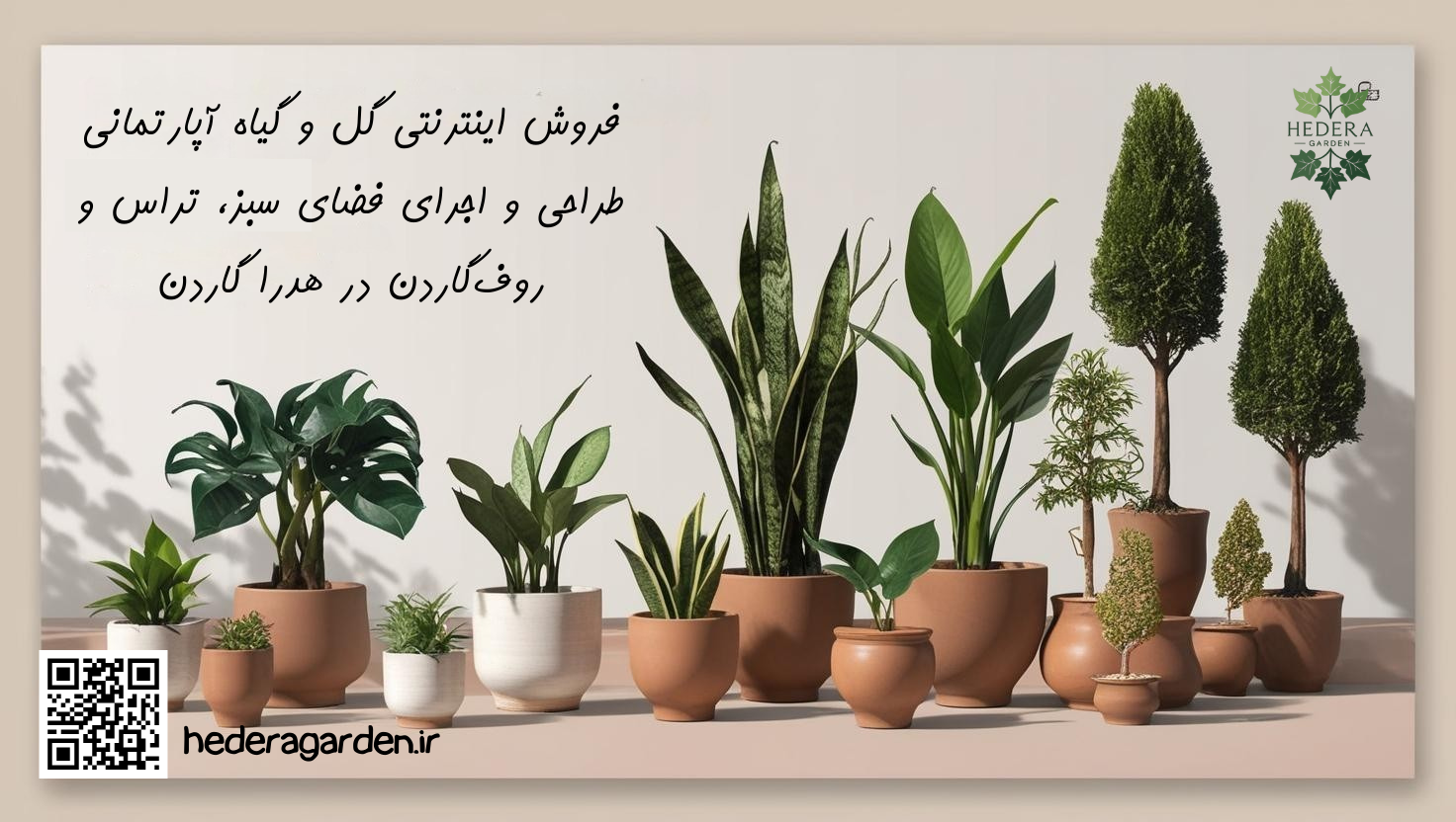 از فروش گل و گیاه آپارتمانی تا طراحی و اجرای روف‌گاردن، تراس سبز و باغچه؛ Hedera Garden